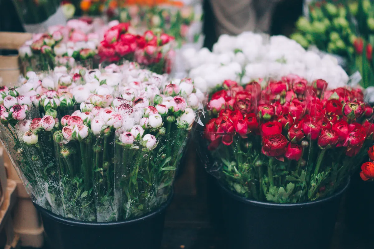 Foto de ejemplo: cubos de flores blancas con el borde rosa y flores rojas, recién llegadas a una floristería